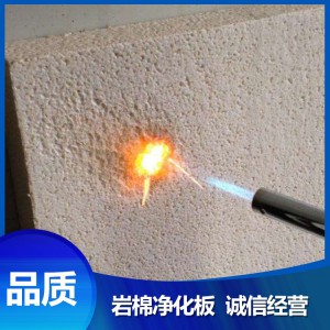 价格低廉 岩棉净化板 菏泽厂家直销