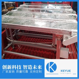 专业皮带输送线 定制皮带输送线
