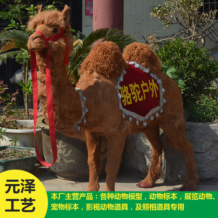 高仿真骆驼销售 造型逼真骆驼 专业定做