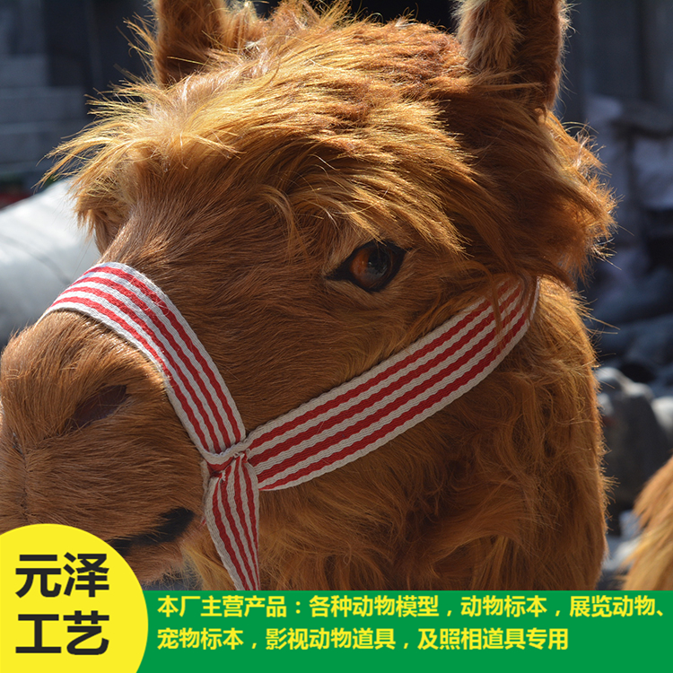 高仿真骆驼销售 造型逼真骆驼 专业定做