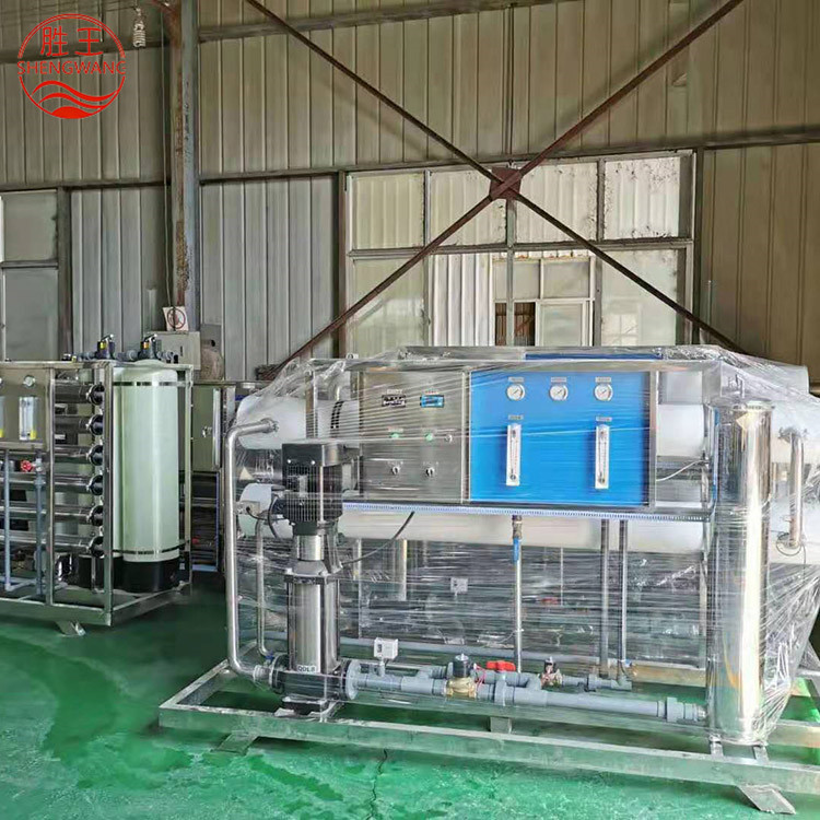 山東勝王3T/H反滲透設備 雙級 廠家直銷 規格可定制