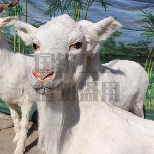 动物馆仿真山羊模型 仿真皮毛动物厂家按图定制