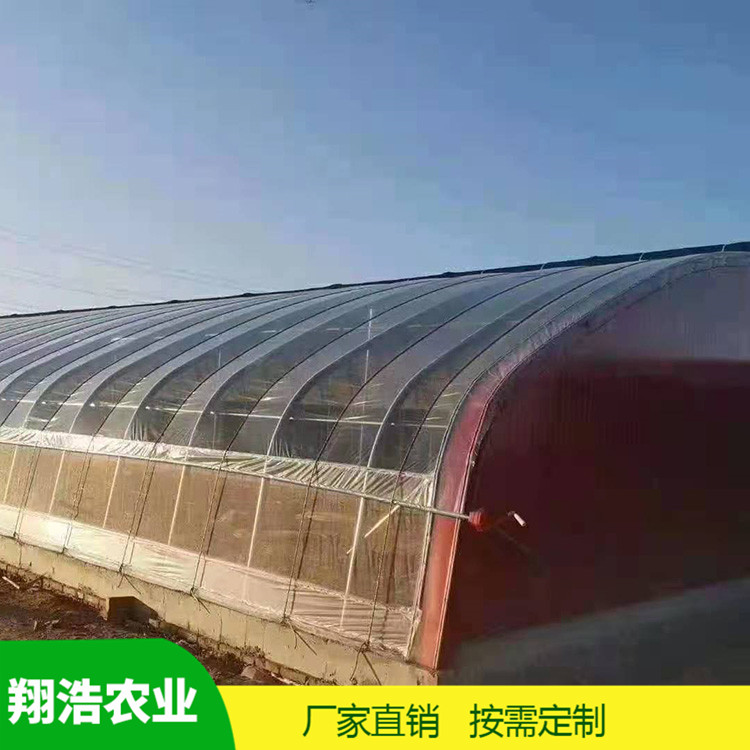 河北育苗單體拱棚 蔬菜薄膜拱形溫室 簡易單體拱棚溫室大棚定制