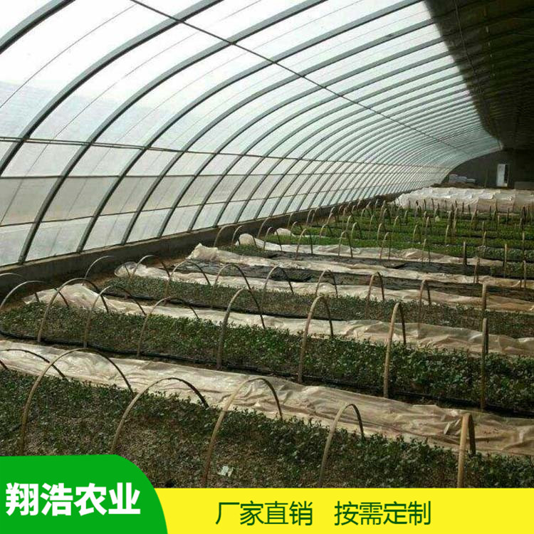 河北育苗單體拱棚 蔬菜薄膜拱形溫室 簡易單體拱棚溫室大棚定制
