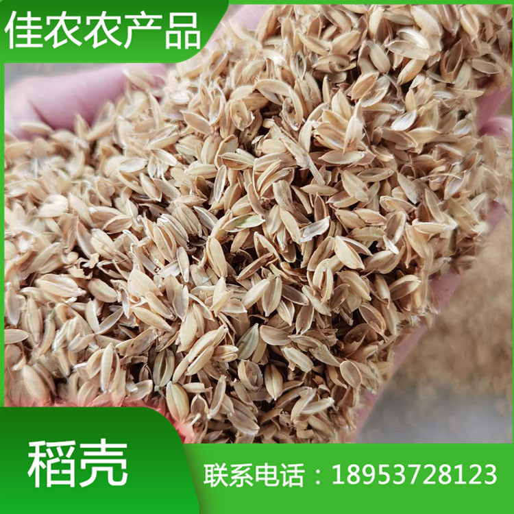湖南釀酒釀醋用稻殼 飼料用新鮮無摻雜稻殼