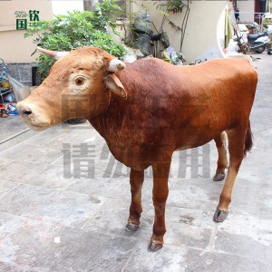 现货供应仿真大黄牛 游乐园仿真皮毛动物模型摆件