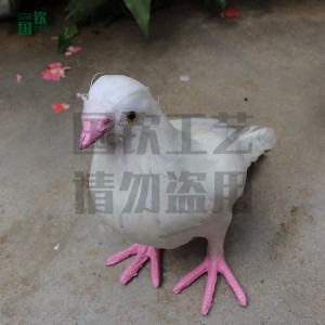 动物模型标本 仿真鸽子设计制作