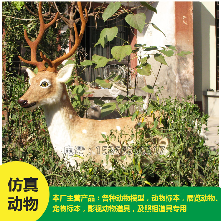 元澤皮毛仿真梅花鹿 大小各異仿真皮毛動物 元澤