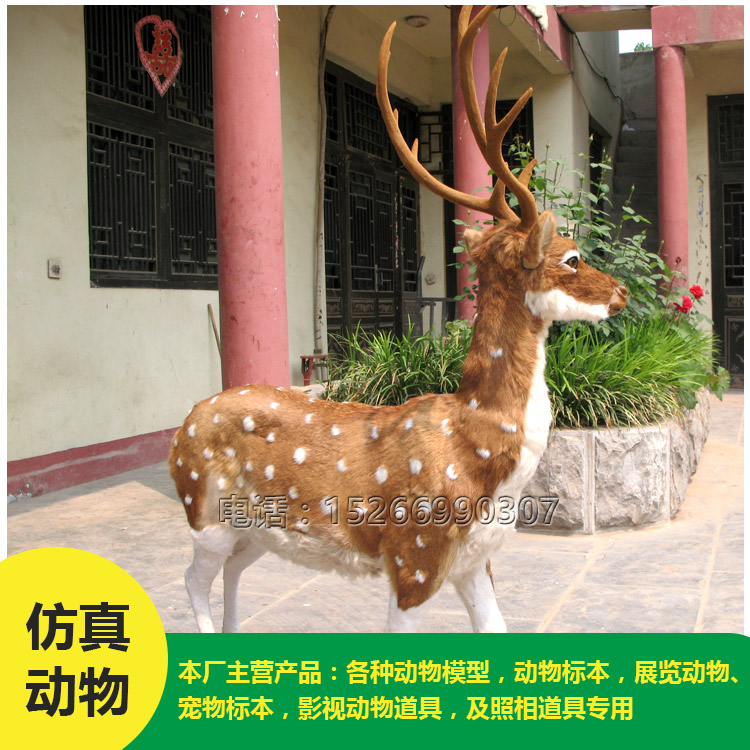 元澤皮毛仿真梅花鹿 大小各異仿真皮毛動物 元澤